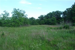 property photo for Silver Moon Ranch Tract 4, 6.16 acres for sale in Okfuskee County, Oklahoma