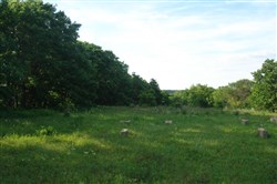 property photo for Silver Moon Ranch Tract 4, 6.16 acres for sale in Okfuskee County, Oklahoma