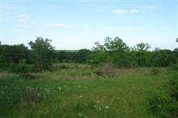 property photo for Silver Moon Ranch Tract 4, 6.16 acres for sale in Okfuskee County, Oklahoma