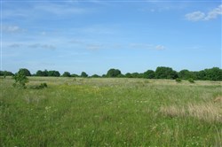 property photo for Silver Moon Ranch Tract 6, 7.14 acres for sale in Okfuskee County, Oklahoma