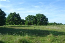 property photo for Silver Moon Ranch Tract 6, 7.14 acres for sale in Okfuskee County, Oklahoma