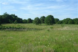 property photo for Silver Moon Ranch Tract 6, 7.14 acres for sale in Okfuskee County, Oklahoma