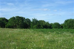 property photo for Silver Moon Ranch Tract 6, 7.14 acres for sale in Okfuskee County, Oklahoma