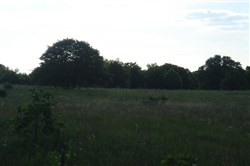 property photo for Silver Moon Ranch Tract 7, 12.3 acres for sale in Okfuskee County, Oklahoma