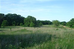 property photo for Silver Moon Ranch Tract 7, 12.3 acres for sale in Okfuskee County, Oklahoma