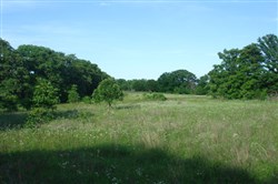 property photo for Silver Moon Ranch Tract 7, 12.3 acres for sale in Okfuskee County, Oklahoma