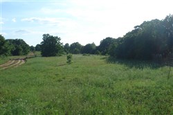 property photo for Silver Moon Ranch Tract 7, 12.3 acres for sale in Okfuskee County, Oklahoma