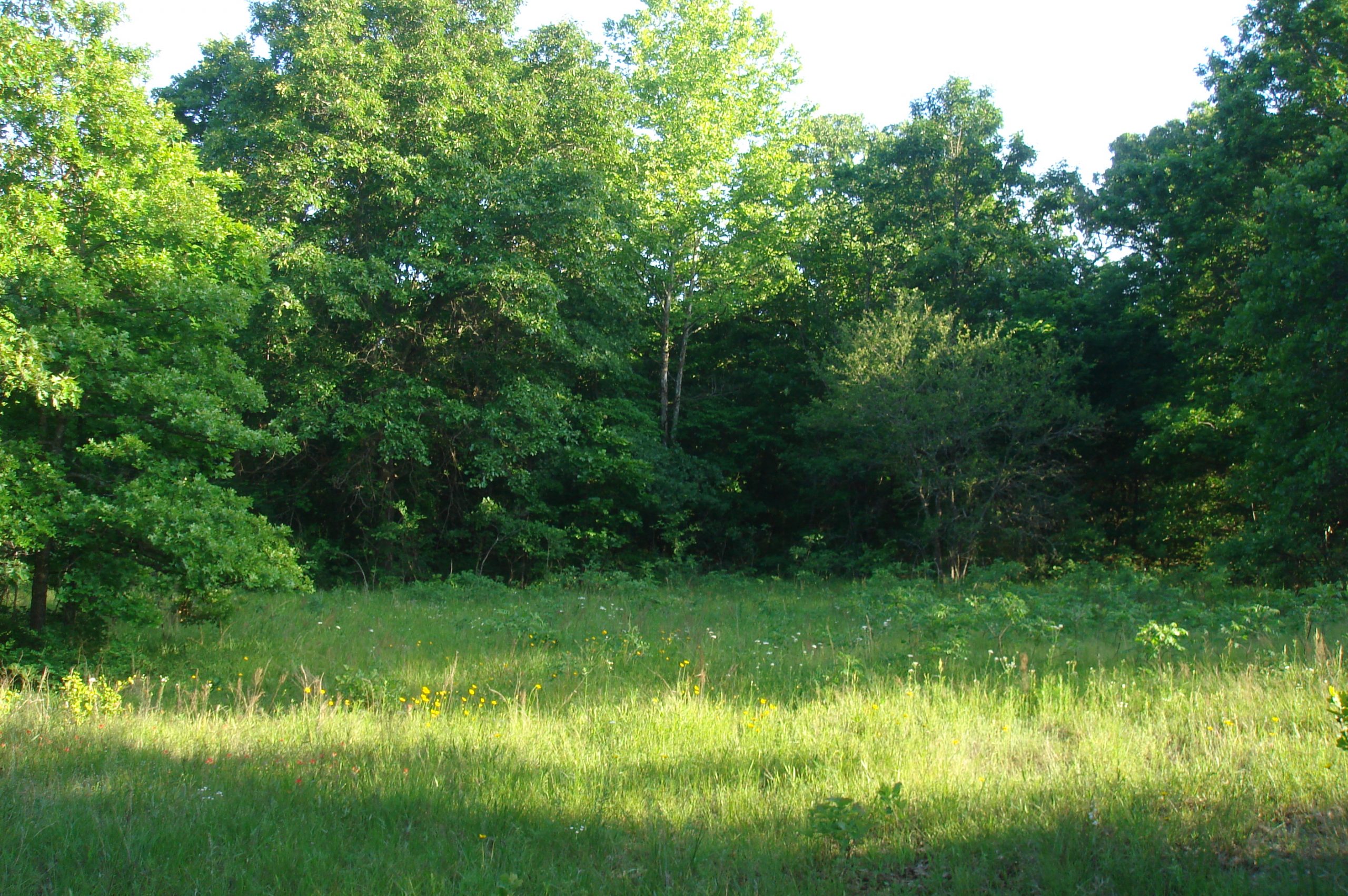 Tract 8 at Silver Moon Ranch in Okfuskee County, Oklahoma