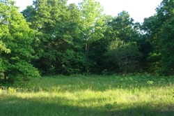 property photo for Silver Moon Ranch Tract 8, 13.44 acres for sale in Okfuskee County, Oklahoma