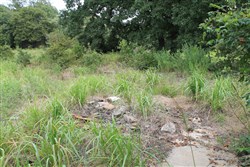 property photo for Silver Moon Ranch Tract 8, 13.44 acres for sale in Okfuskee County, Oklahoma