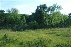 property photo for Silver Moon Ranch Tract 9, 14.4 acres for sale in Okfuskee County, Oklahoma