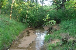property photo for Silver Moon Ranch Tract 9, 14.4 acres for sale in Okfuskee County, Oklahoma