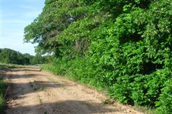 property photo for Silver Moon Ranch Tract 9, 14.4 acres for sale in Okfuskee County, Oklahoma