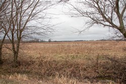 Canadian Plains Tract 10