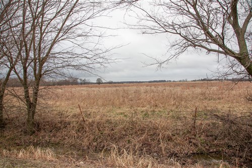 Canadian Plains Tract 10