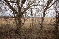 Canadian Plains Tract 10