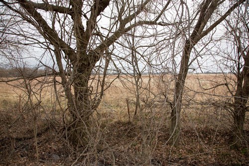 Canadian Plains Tract 10