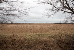 Canadian Plains Tract 10