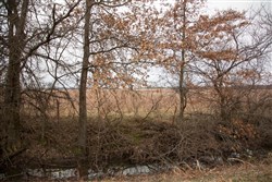 Canadian Plains Tract 10