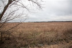 property photo for Canadian Plains Tract 11, 5 acres for sale in Pittsburg County, Oklahoma