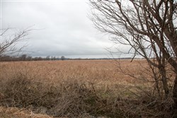 property photo for Canadian Plains Tract 11, 5 acres for sale in Pittsburg County, Oklahoma