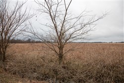 property photo for Canadian Plains Tract 11, 5 acres for sale in Pittsburg County, Oklahoma