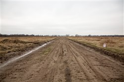 Canadian Plains Tract 24