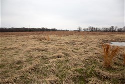 Canadian Plains Tract 24