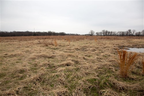 Canadian Plains Tract 24