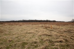 Canadian Plains Tract 24