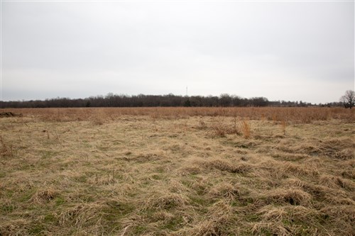 Canadian Plains Tract 24