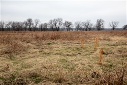 Canadian Plains Tract 24