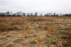 Canadian Plains Tract 24