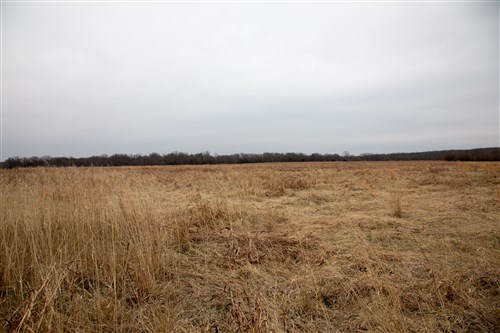 Canadian Plains Tract 27