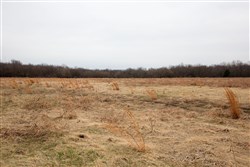 Canadian Plains Tract 27