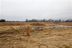 Canadian Plains Tract 27