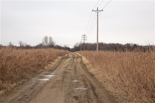 Canadian Plains Tract 37