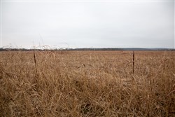 Canadian Plains Tract 37