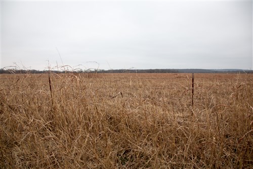 Canadian Plains Tract 37