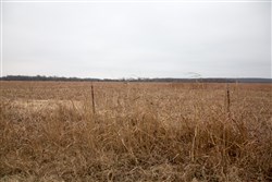 Canadian Plains Tract 37
