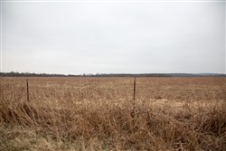 Canadian Plains Tract 37
