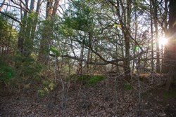 property photo for Eufaula Cove Tract 26, 5.22 acres for sale in Pittsburg County, Oklahoma