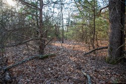 property photo for Eufaula Cove Tract 26, 5.22 acres for sale in Pittsburg County, Oklahoma