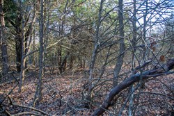property photo for Eufaula Cove Tract 26, 5.22 acres for sale in Pittsburg County, Oklahoma