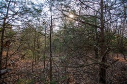 property photo for Eufaula Cove Tract 26, 5.22 acres for sale in Pittsburg County, Oklahoma