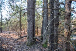property photo for Eufaula Cove Tract 26, 5.22 acres for sale in Pittsburg County, Oklahoma