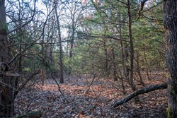 property photo for Eufaula Cove Tract 26, 5.22 acres for sale in Pittsburg County, Oklahoma
