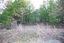 Eufaula Cove Tract 28