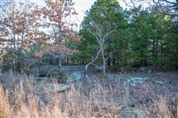 Eufaula Cove Tract 28