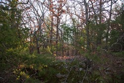 Eufaula Cove Tract 28